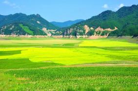 绿江村最适合几月去 绿江村最佳旅游时间和季节