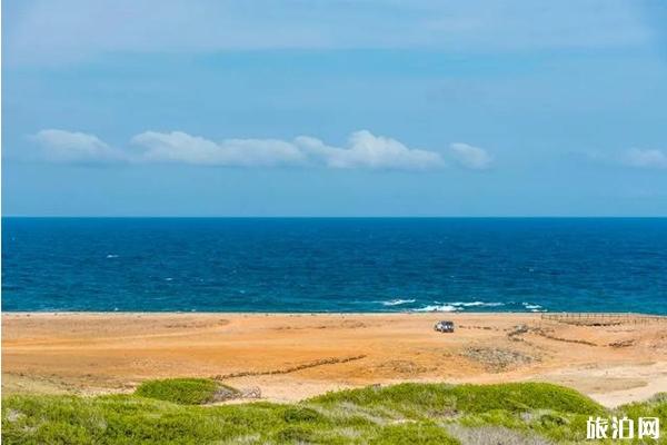 阿魯巴島火烈鳥攻略