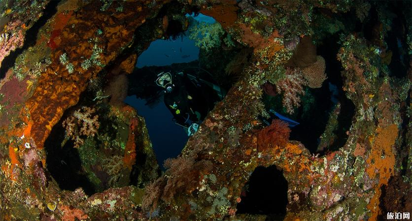 巴厘岛附近其它岛潜水 巴厘岛深潜哪里好
