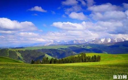 新疆旅游攻略详细版最新