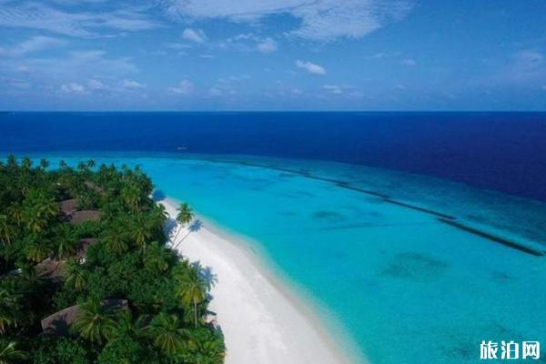 马尔代夫哈拉薇莉岛是几星岛 马尔代夫哈拉薇莉岛怎么样