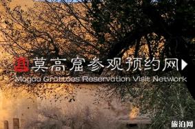 敦煌莫高窟门票价格多少钱 莫高窟门票a类b类哪种好