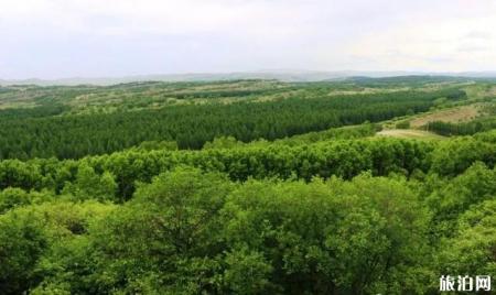 塞罕坝御道口自驾游旅游攻略