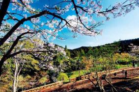 嘉义阿里山公园有什么好玩的