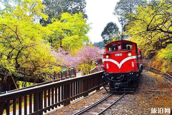 阿里山游玩攻略 附交通指南