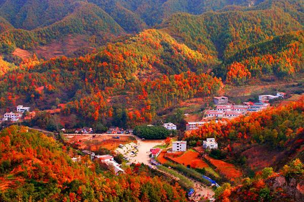 养子沟景区门票多少钱 养子沟景区门票优惠政策