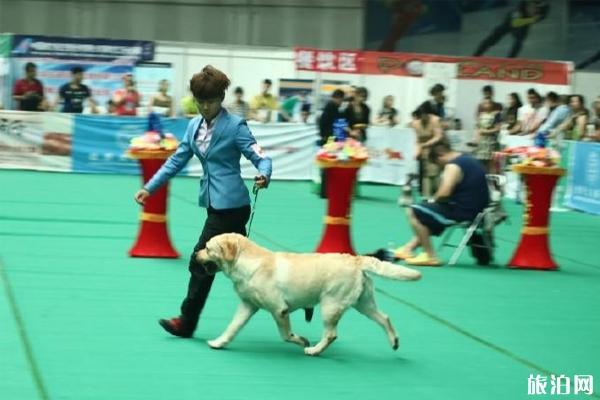 2019亚宠展CKU犬趣味运动赛时间+地点+参赛要求