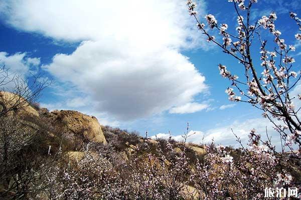 北京凤凰岭天然风景区+泊车疑息+民网