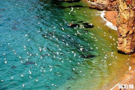 七夕最适合情侣去的海岛推荐 国内海岛旅游推荐