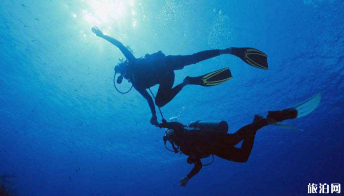 泰国体验潜水常见问题