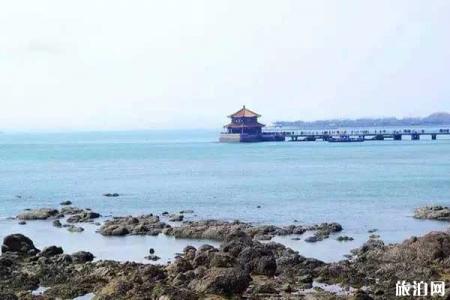 青岛五日亲子游推荐+路线