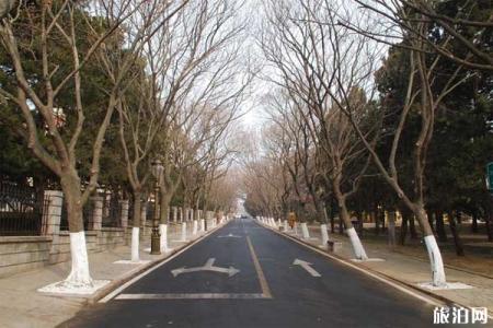 青岛八大关风景区游览攻略