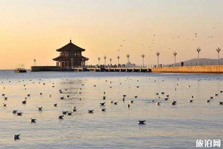 青岛四天三晚旅游攻略