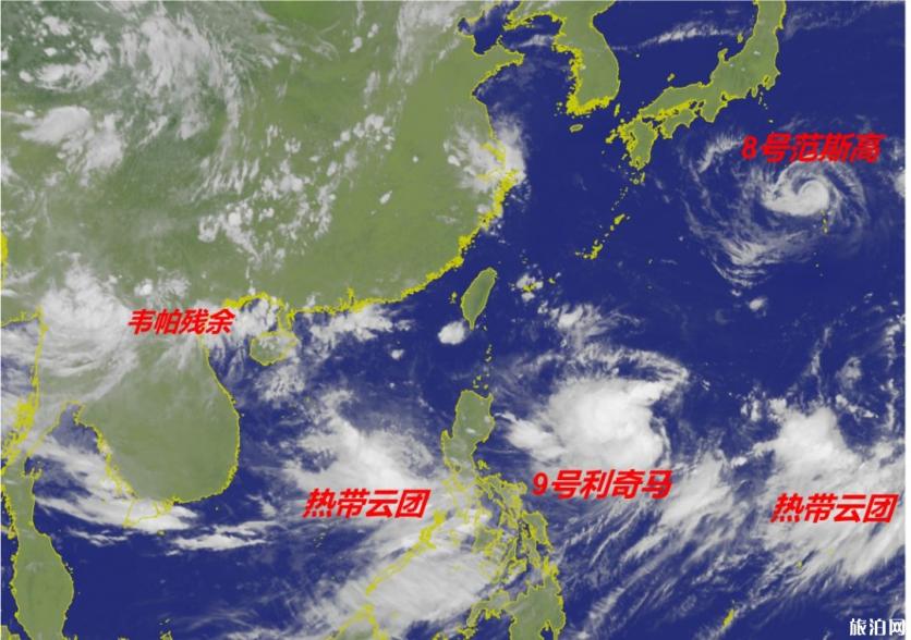 利奇马台风对厦门的影响 天气+航班