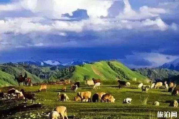八月新疆旅游景点攻略