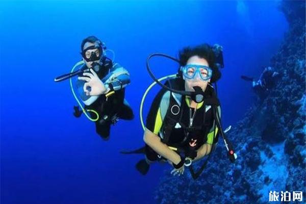 自由潜水和水肺潜水哪个好玩