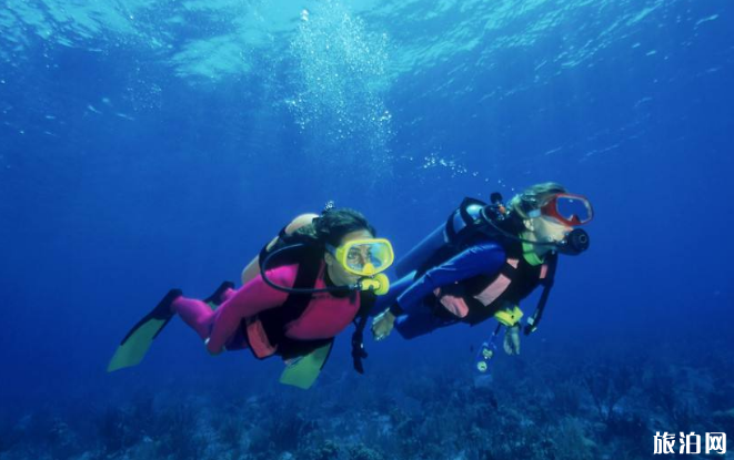 三亞潛水哪里最便宜 三亞潛水島嶼推薦