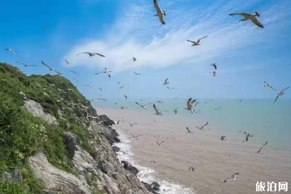 2019年8月台风登陆浙江关闭景点有哪些+停运航线