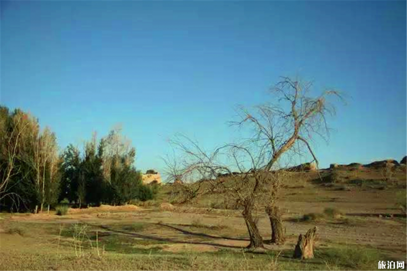 新甘州八景是哪八景