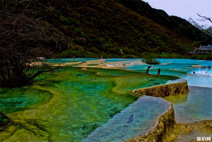 新甘州八景是哪八景