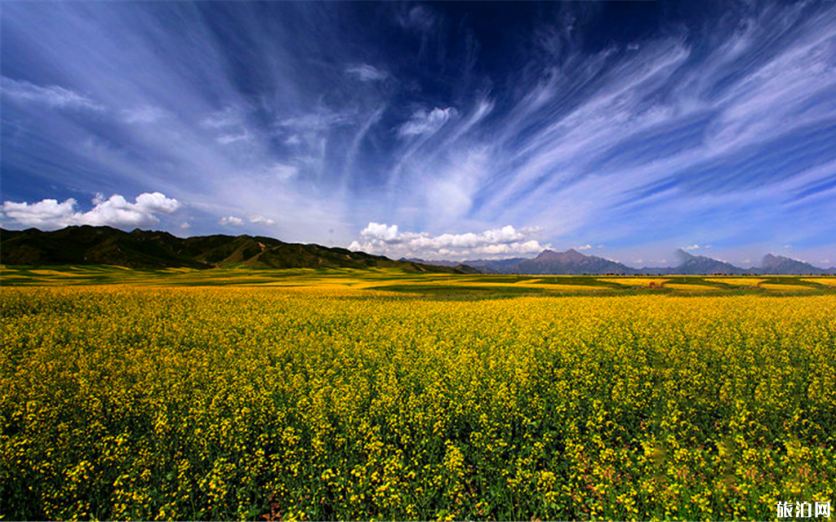 新甘州八景是哪八景