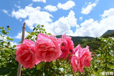 四姑娘山旅游攻略2019