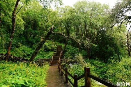 四姑娘山旅游攻略2019