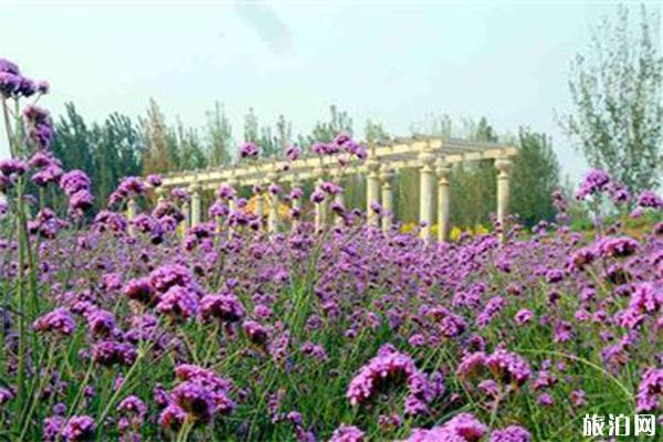 石家莊森林河趣那公園門票價格多少錢