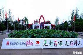 西安盛洲农业科技园荷苑怎么样 地址+怎么去+要门票吗