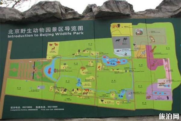 2019北京野生动物园景点门票+开放时间