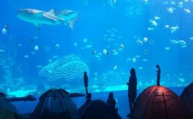 珠海长隆海洋世界游玩攻略