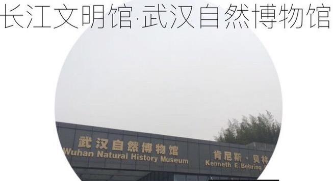 武汉有哪些博物馆值得一去