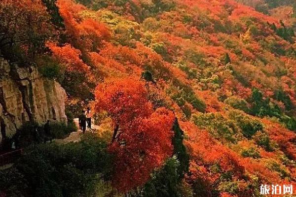 廣東秋游度假去哪里好