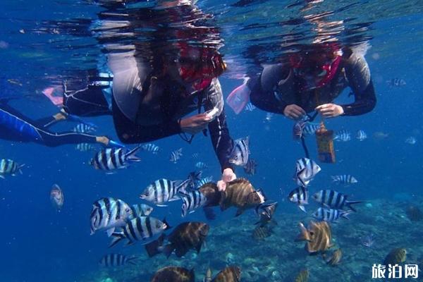 冲绳潜水哪里最好 冲绳最佳潜水季节