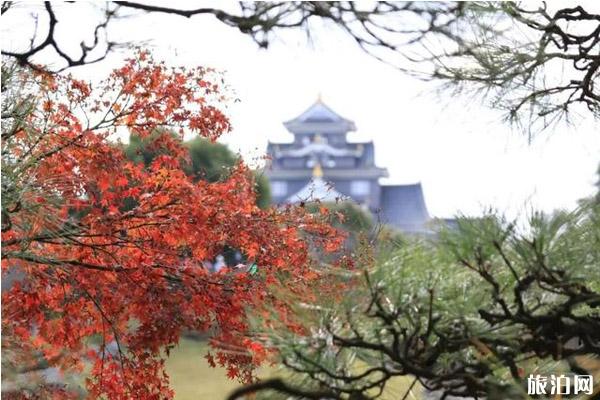 2019日本枫叶预测+地点+交通+介绍