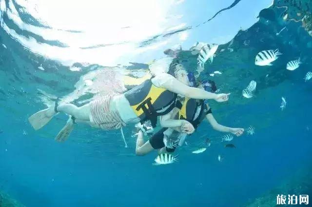 冲绳潜水哪里最好 冲绳最佳潜水季节