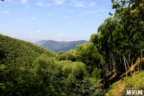 莫干山徒步线路推荐