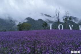 日本北海道节日有哪些+最佳旅游季节