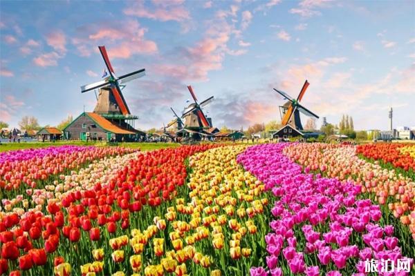 荷兰最值得去的地方有哪些 排名前八的必去景点