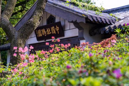 惠山古镇必打卡的景点