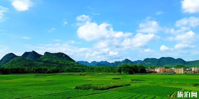 靖西最佳旅游季節 靖西如何到達