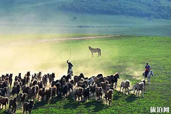 2019第二届中国马文化节暨首届内蒙古国际马文化博览会活动攻略