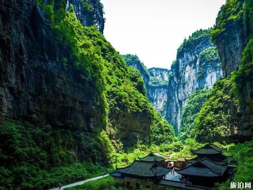 重庆武隆仙女山旅游攻略 重庆仙女山值得去吗