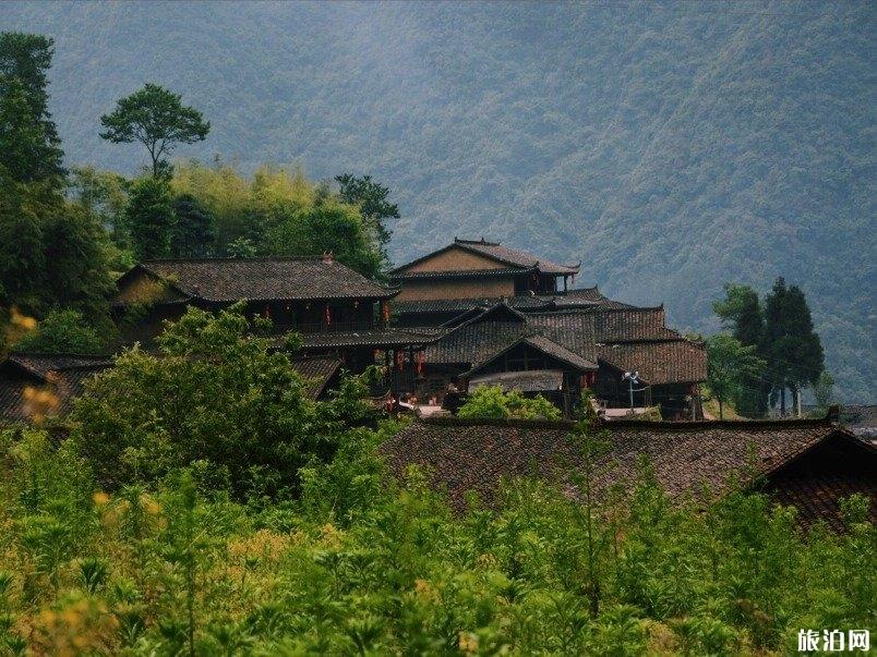 重庆武隆仙女山旅游攻略 重庆仙女山值得去吗