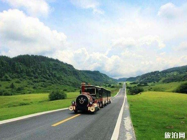 重庆武隆仙女山旅游攻略 重庆仙女山值得去吗