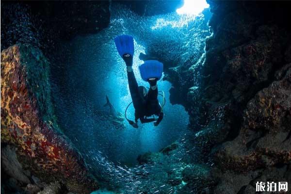 休闲潜水和技术潜水区别是什么