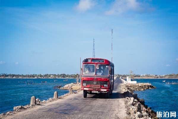斯里兰卡旅游注意事项+实用建议+路线