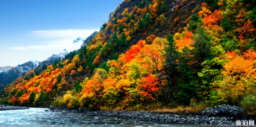 秋天国内最佳旅游地 秋天适合去什么地方旅游