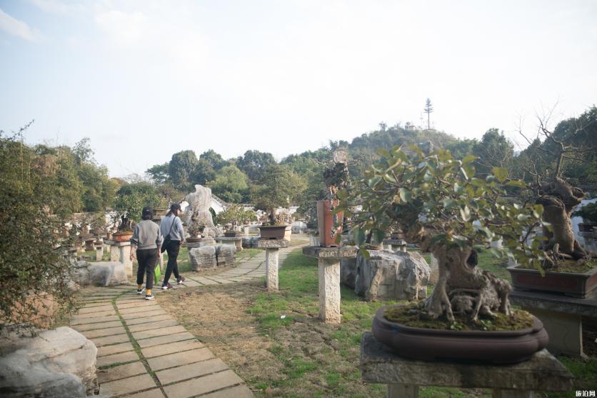 黃果樹瀑布景區(qū)避坑玩法