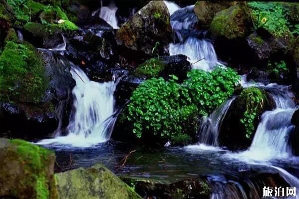 黑龍江鳳凰山大峽谷怎么樣 什么時候開園